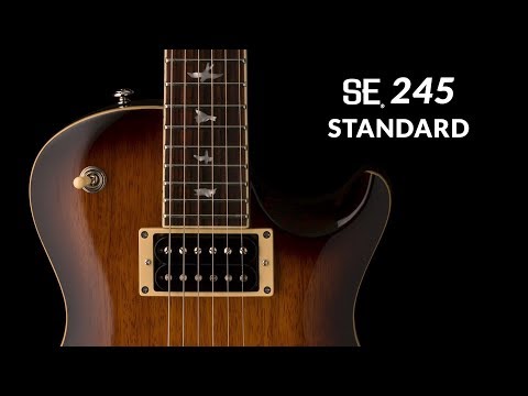 Review SE 245: SE 245: La guitarra eléctrica perfecta para principiantes y profesionales