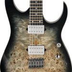 Review RG1121PB: ¡Descubre la Excepcional Guitarra Eléctrica RG1121PB!